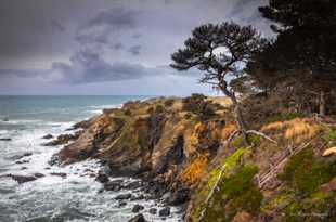 Salt Point-2946 Salt Point-2946